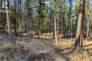 530 Muir Road - Photo 9