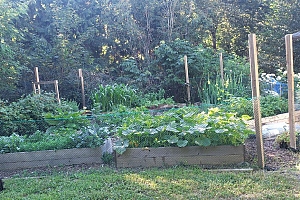 5615 East Vernon Road - Photo 89