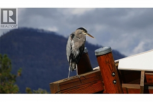 9845 Eastside Road Unit# 79 - Photo 51