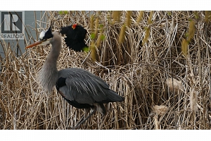 9845 Eastside Road Unit# 79 - Photo 52