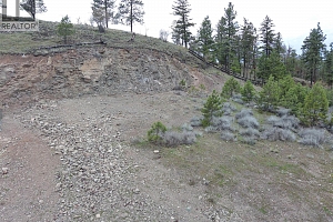 720 Pinehaven Court - Photo 11