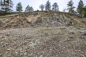 720 Pinehaven Court - Photo 16