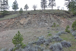 720 Pinehaven Court - Photo 2