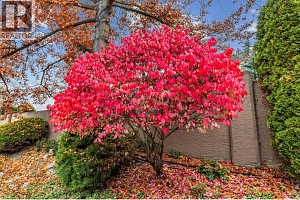 535 Glenmeadows Road Unit# 33 - Photo 37