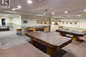 3897 Gallaghers Grange - Photo 61