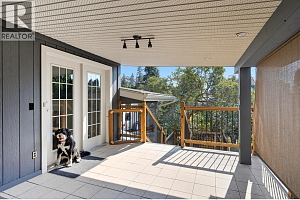 1112 Pinecrest Lane - Photo 53