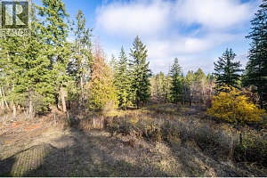 4358 Chamberlain Road - Photo 55