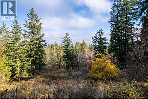 4358 Chamberlain Road - Photo 57