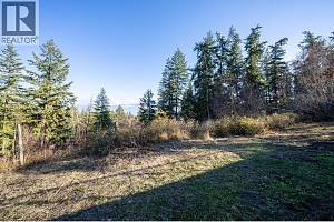 4358 Chamberlain Road - Photo 67