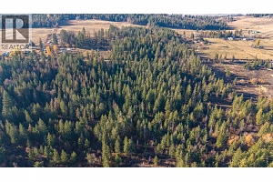 4358 Chamberlain Road - Photo 69