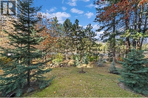 2164 Tomat Avenue - Photo 72