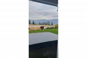 2433 Ingram Road Unit# 47 - Photo 46