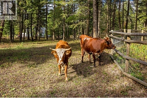 192 Louie View Drive - Photo 70