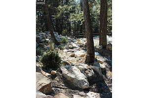 192 Louie View Drive - Photo 87