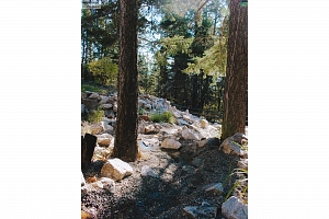 192 Louie View Drive - Photo 92