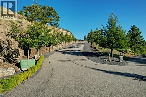 733 Forestridge Lane - Photo 12