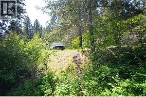 10713 Westshore Road - Photo 12