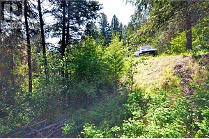 10713 Westshore Road - Photo 13