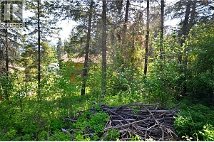 10713 Westshore Road - Photo 14