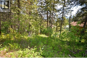 10713 Westshore Road - Photo 15