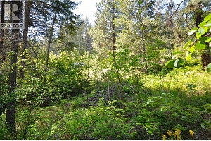 10713 Westshore Road - Photo 17