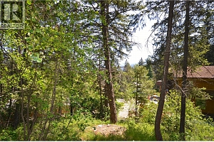 10713 Westshore Road - Photo 18