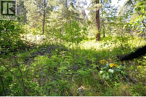 10713 Westshore Road - Photo 19