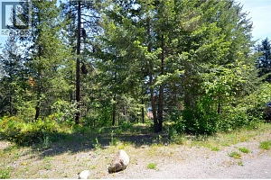 10713 Westshore Road - Photo 2