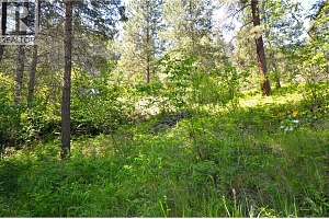 10713 Westshore Road - Photo 20