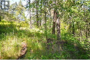 10713 Westshore Road - Photo 21