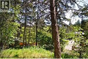 10713 Westshore Road - Photo 22