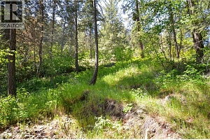 10713 Westshore Road - Photo 24