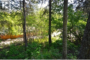 10713 Westshore Road - Photo 25