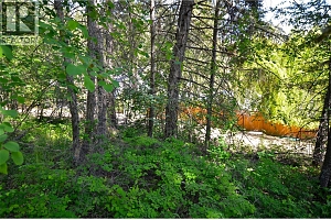 10713 Westshore Road - Photo 26