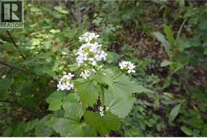 10713 Westshore Road - Photo 27