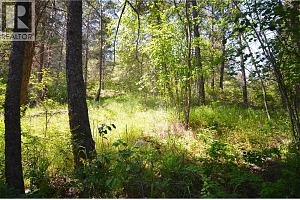 10713 Westshore Road - Photo 28