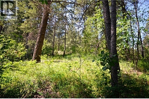 10713 Westshore Road - Photo 29