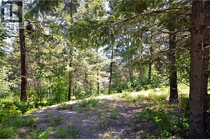 10713 Westshore Road - Photo 3