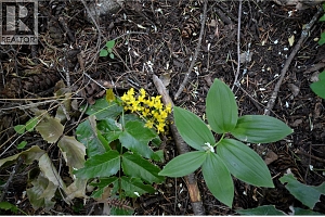 10713 Westshore Road - Photo 30