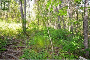 10713 Westshore Road - Photo 31