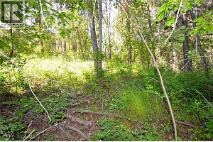 10713 Westshore Road - Photo 32