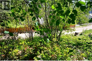 10713 Westshore Road - Photo 33