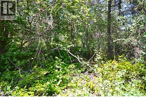 10713 Westshore Road - Photo 35