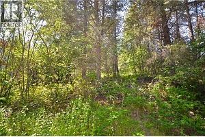 10713 Westshore Road - Photo 36