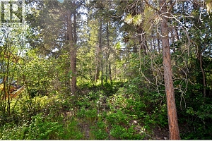 10713 Westshore Road - Photo 37