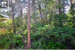 10713 Westshore Road - Photo 38