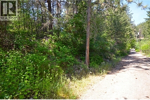 10713 Westshore Road - Photo 39