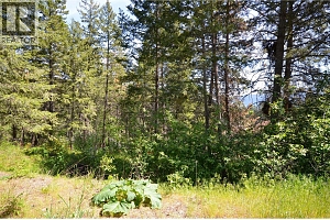 10713 Westshore Road - Photo 4