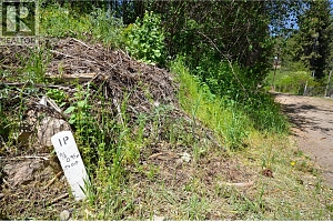 10713 Westshore Road - Photo 40