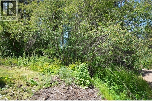 10713 Westshore Road - Photo 41